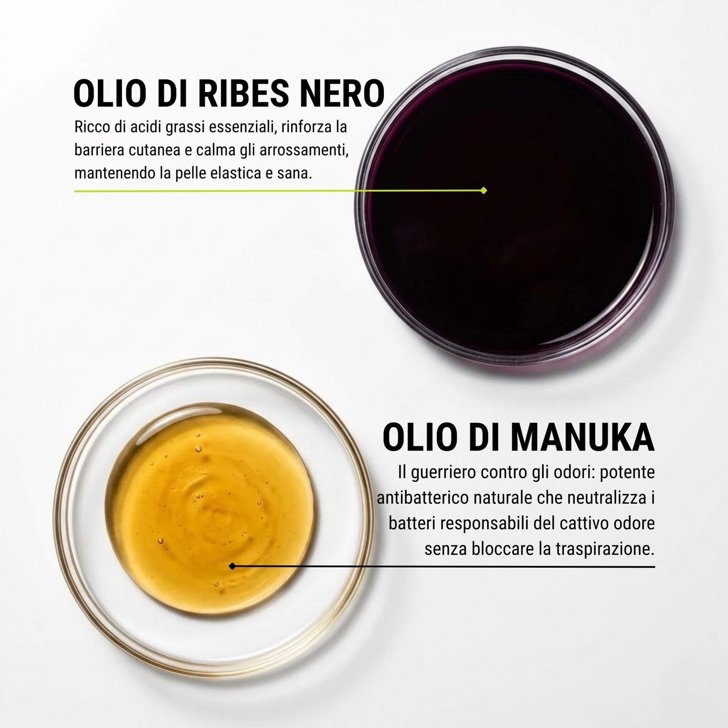 Principi attivi Dryze: Olio di Manuka antibatterico naturale contro gli odori e Olio di Ribes Nero per la barriera cutanea