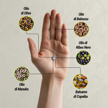 Infografica degli ingredienti naturali del deodorante Dryze: Olio di Oliva, Olio di Babassu, Olio di Ribes Nero, Balsamo di Copaiba e Olio di Manuka.