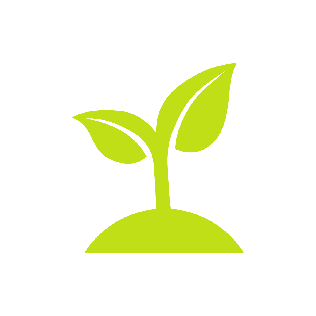 Icona verde con germoglio, simbolo di formula 100% naturale, vegana e cruelty-free.