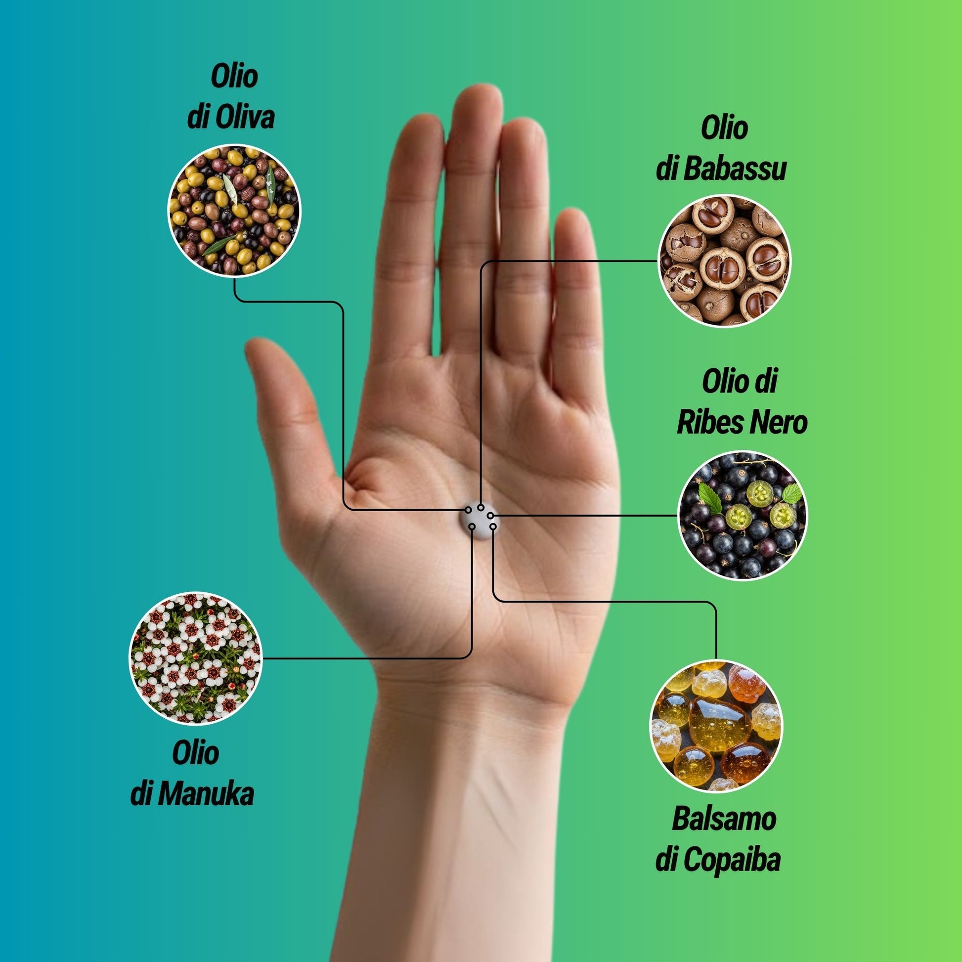 Infografica dei 5 ingredienti naturali di Dryze: Olio di Oliva, Olio di Babassu, Olio di Ribes Nero, Balsamo di Copaiba e Olio di Manuka.