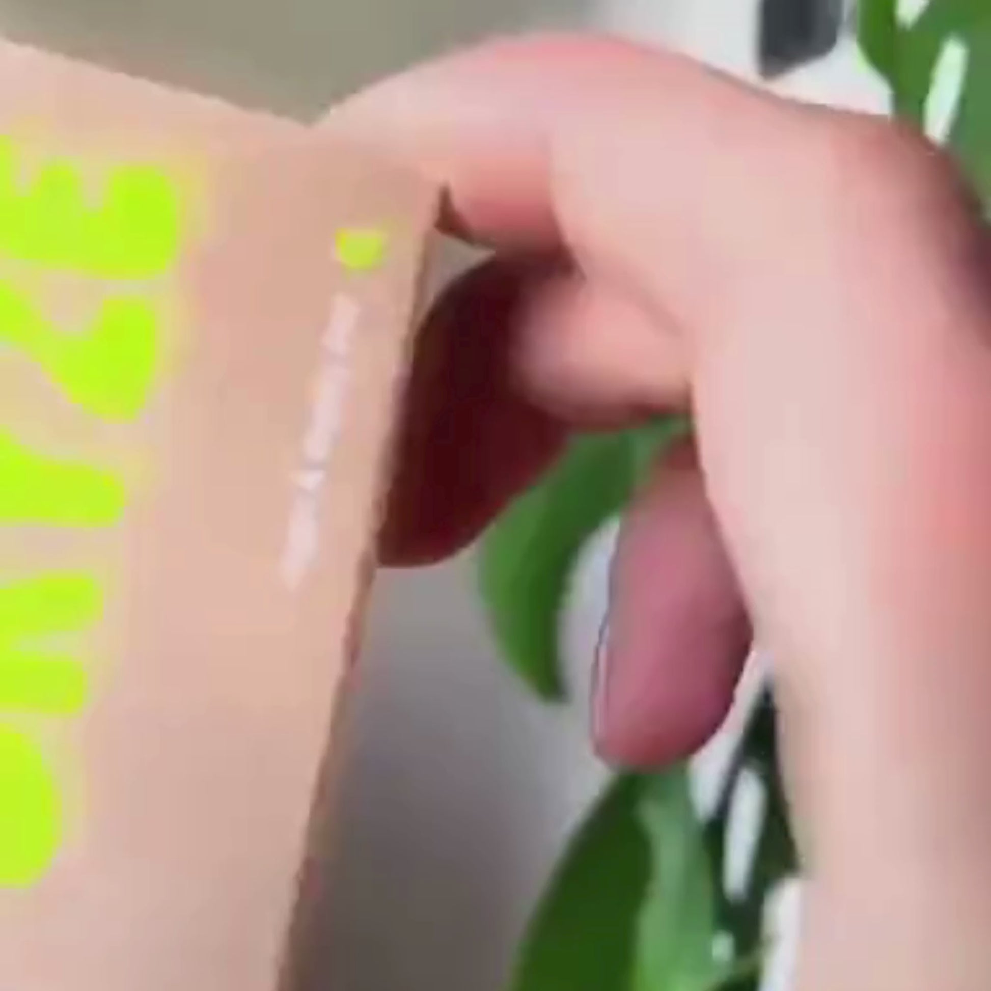 video influencer dryze cinque video esplicativo del deodorante 